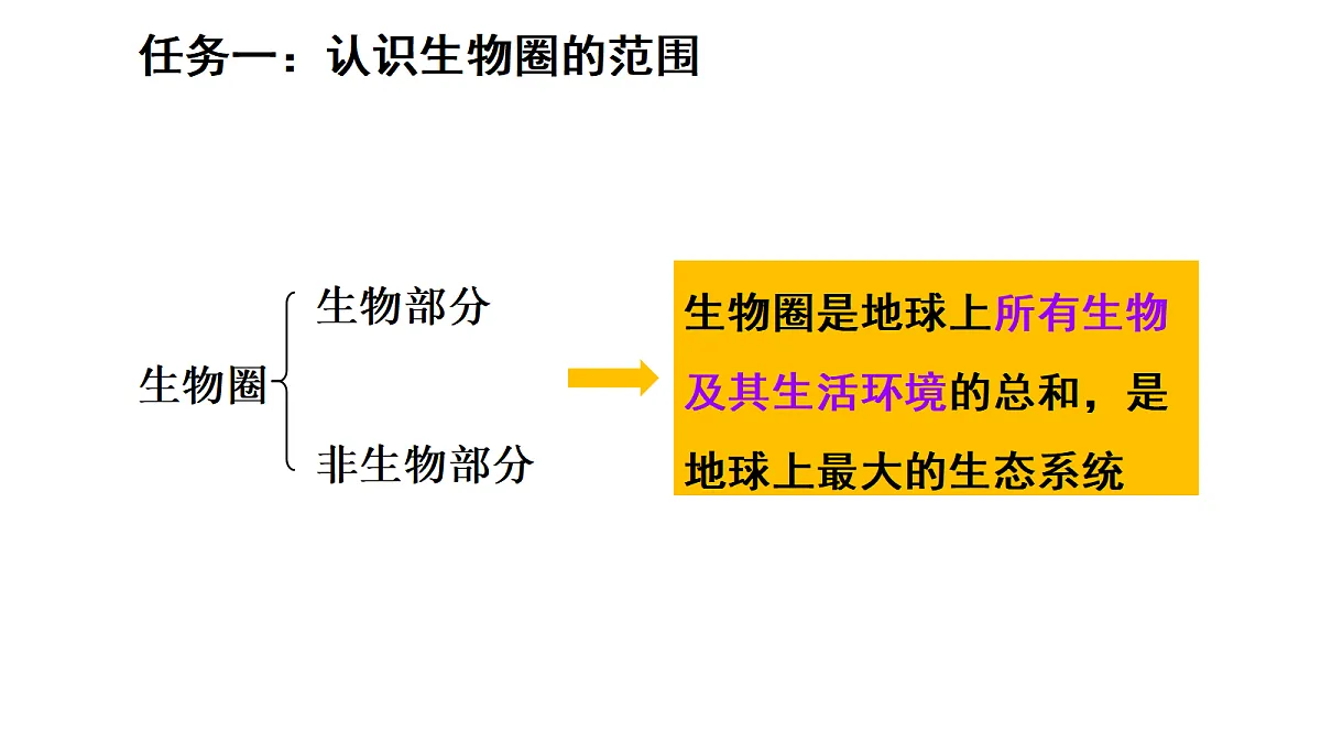 17268975第6页