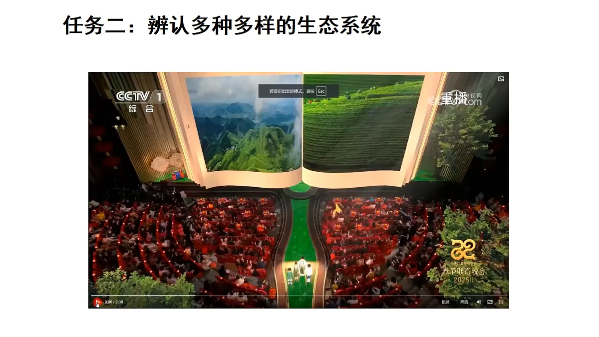 17268975第7页