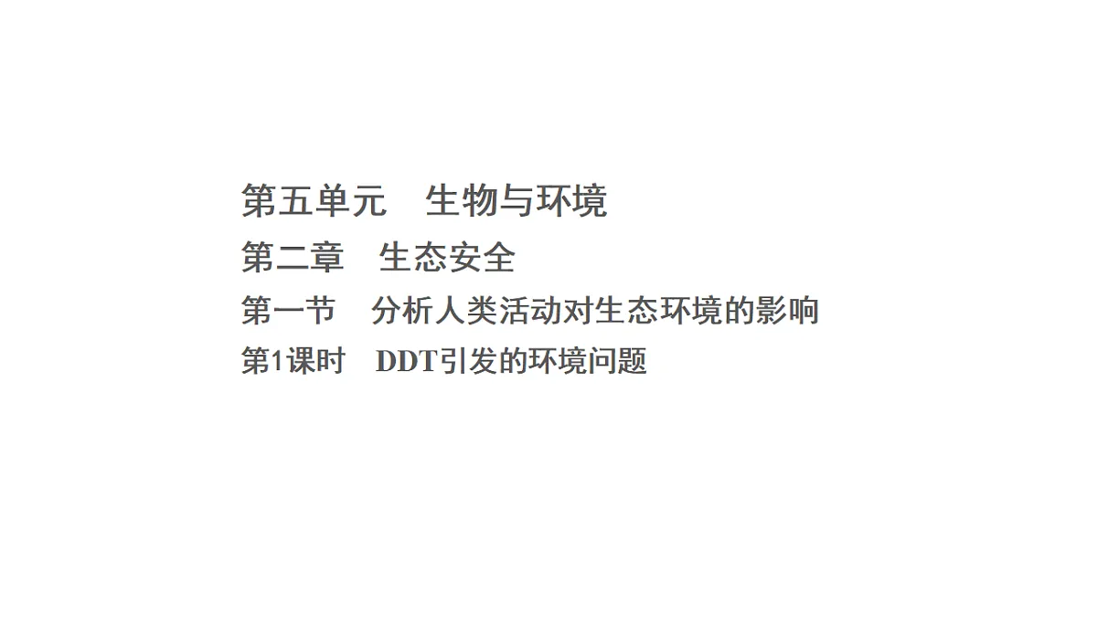 17268976第1页