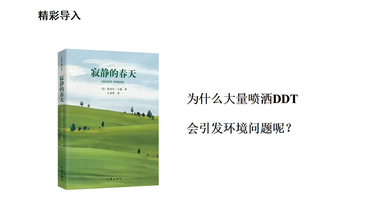 17268976第2页