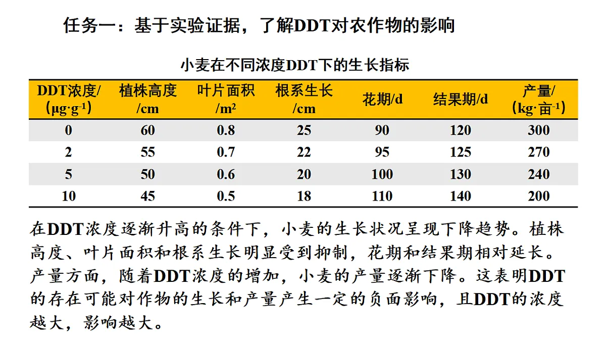 17268976第5页
