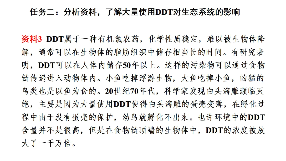 17268976第8页