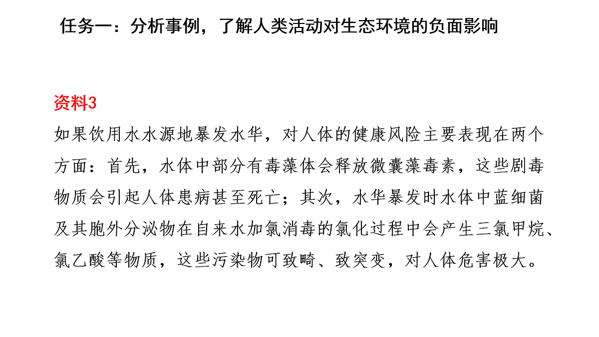 17268977第5页