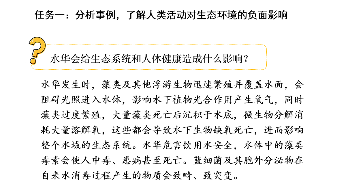 17268977第7页