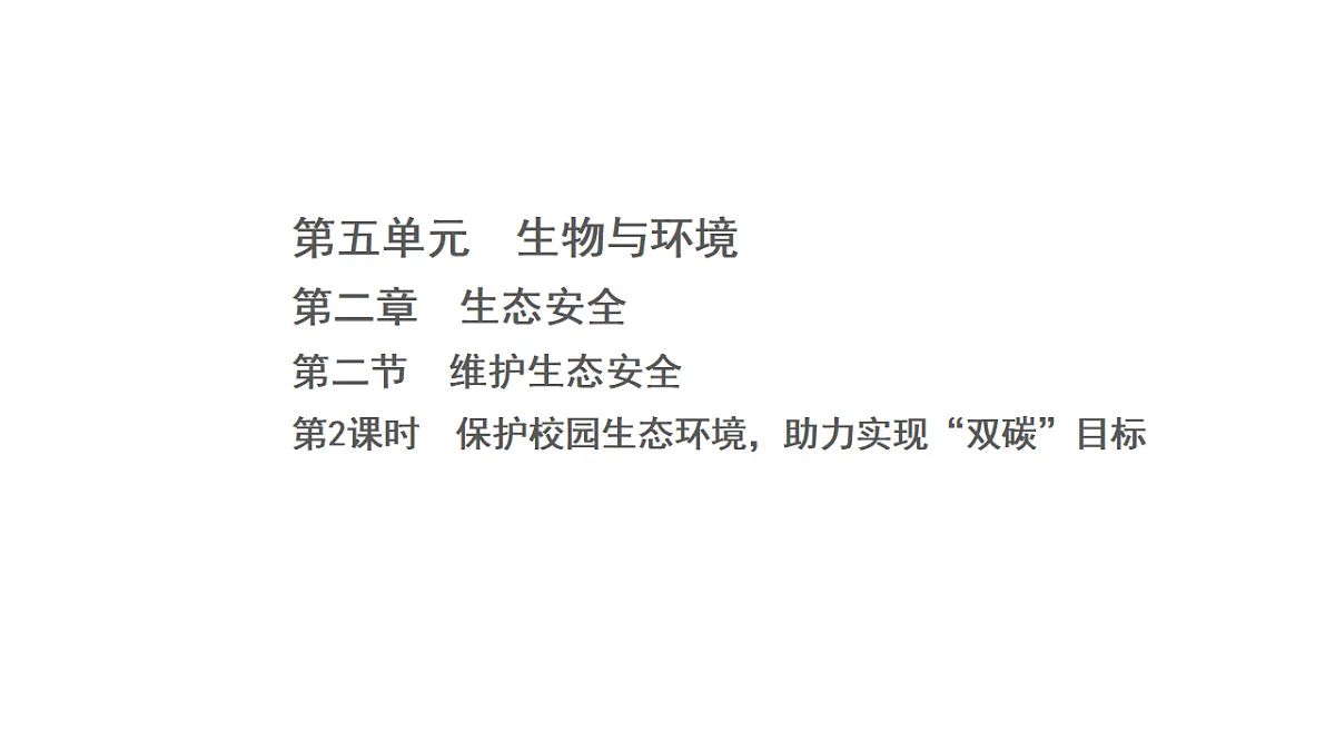 17268979第1页