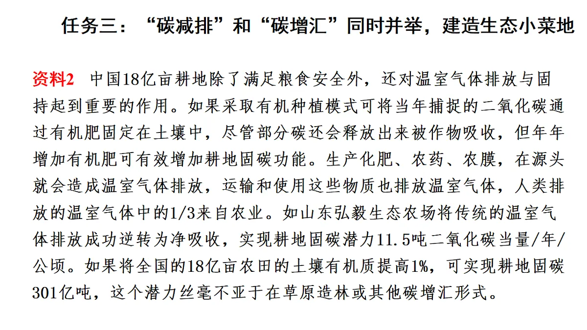 17268979第8页