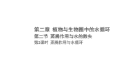 初中冀少版（2024）第二节 蒸腾作用与水的散失背景图课件ppt