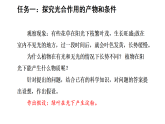 5.3.1 光合作用 第1课时 光合作用的产物和条件（课件）-2025-2026学年冀少版生物八年级上册