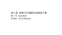 初中生物冀少版（2024）八年级上册（2024）三、光合作用的场所评课课件ppt
