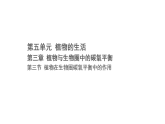 5.3.3 植物在生物圈碳氧平衡中的作用（课件）-2025-2026学年冀少版生物八年级上册
