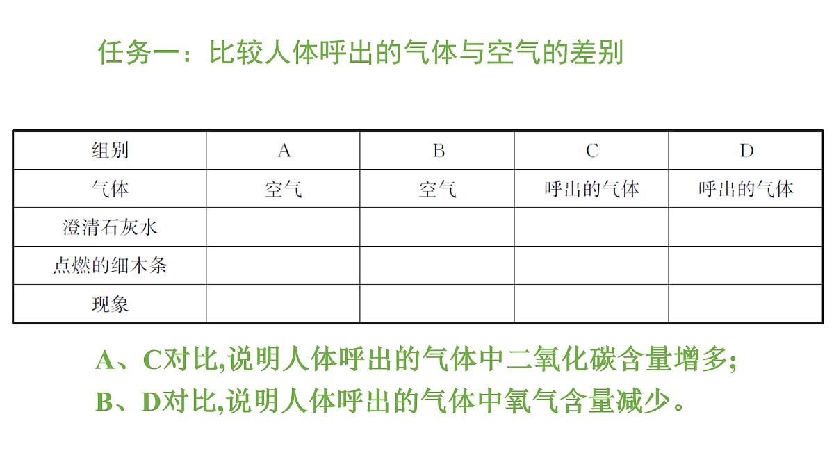 17269015第5页