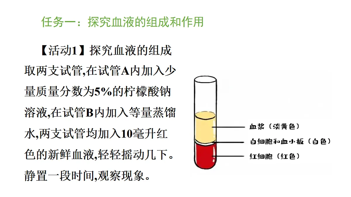5.3.1 血液是物质运输的载体（课件）-2025-2026学年济南版生物八年级上册第3页