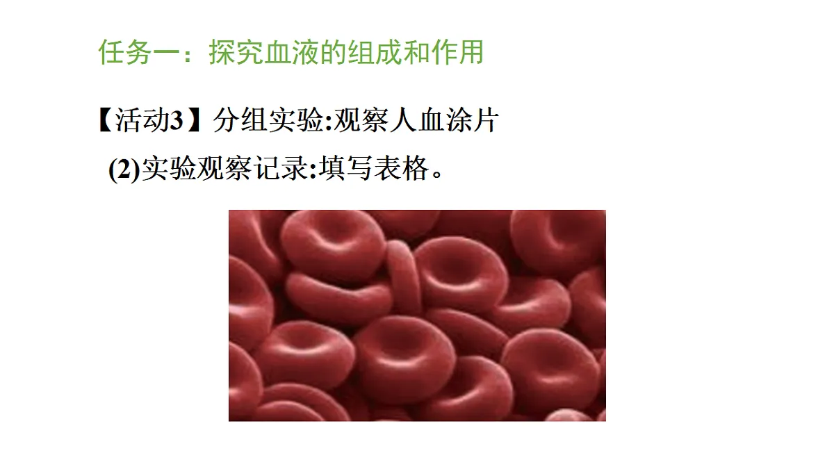 5.3.1 血液是物质运输的载体（课件）-2025-2026学年济南版生物八年级上册第8页