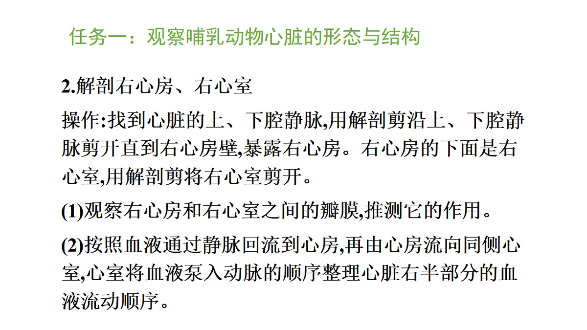 5.3.2 血管和心脏是物质运输的器官 第2课时 （课件）-2025-2026学年济南版生物八年级上册第6页