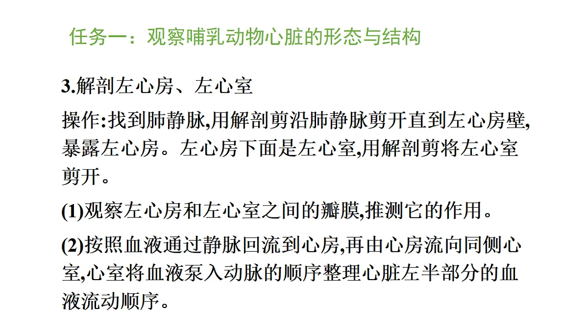 5.3.2 血管和心脏是物质运输的器官 第2课时 （课件）-2025-2026学年济南版生物八年级上册第7页