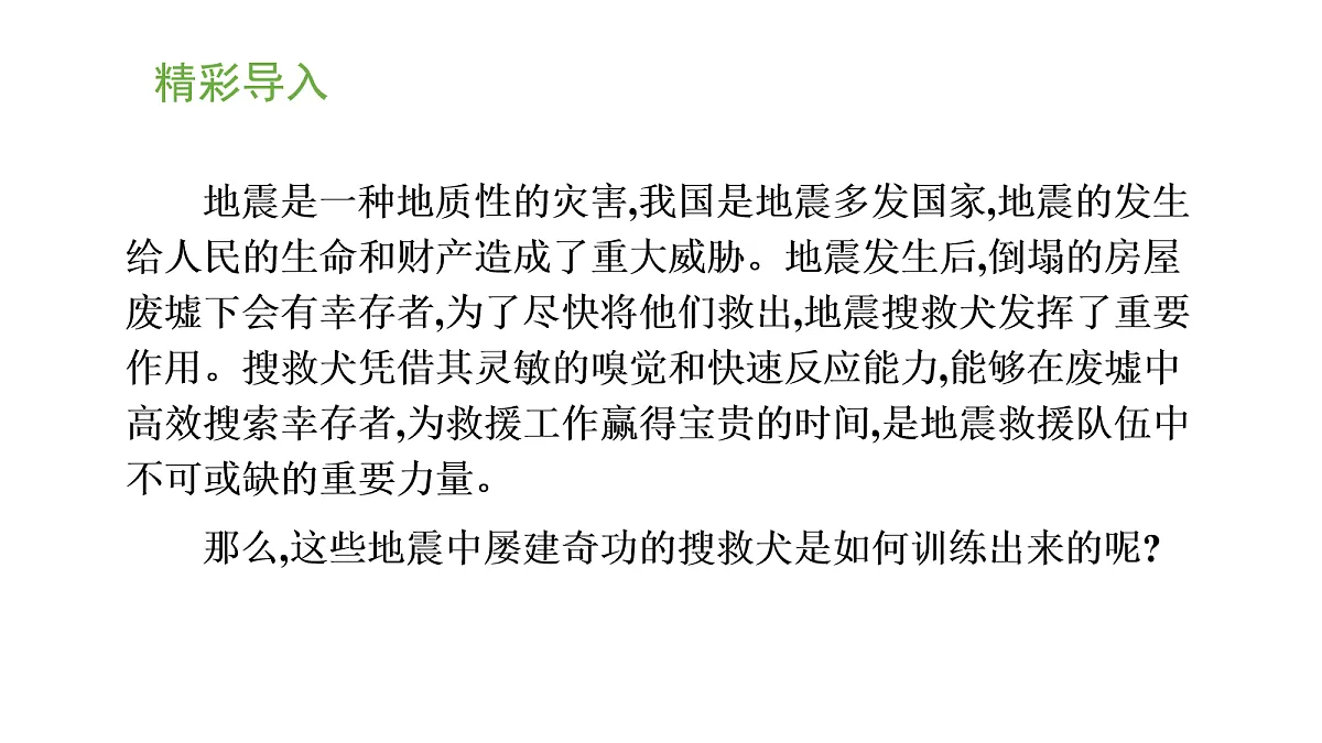17269027第2页