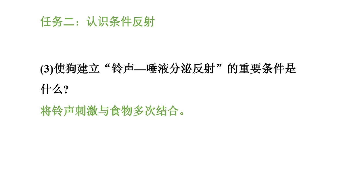 17269027第7页