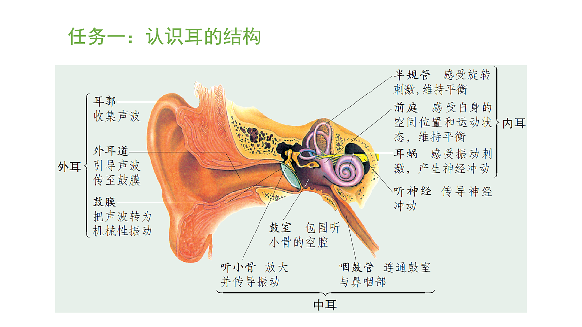 17269030第3页