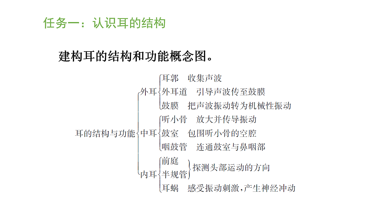 17269030第7页