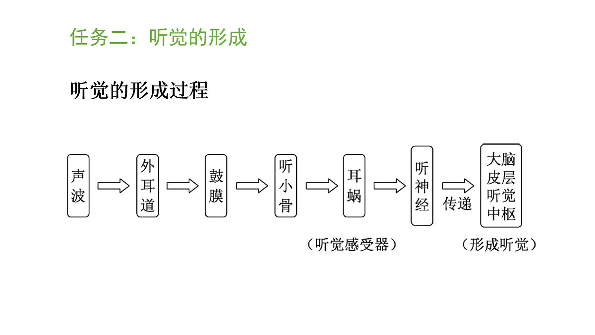 17269030第8页