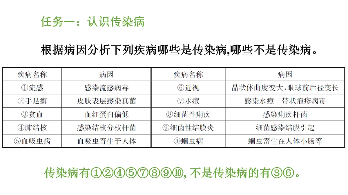 17269032第3页
