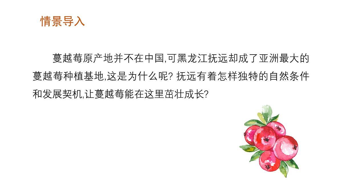 17269077第3页