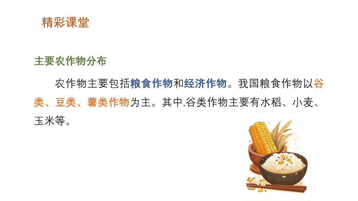 17269077第5页
