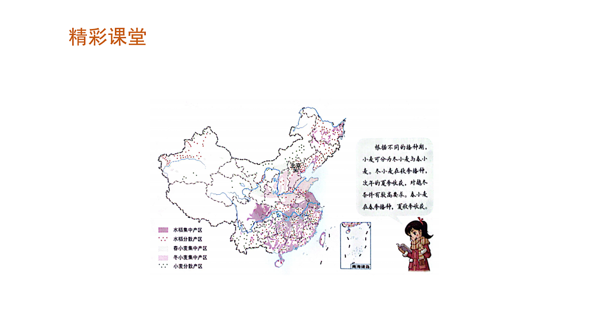17269077第6页
