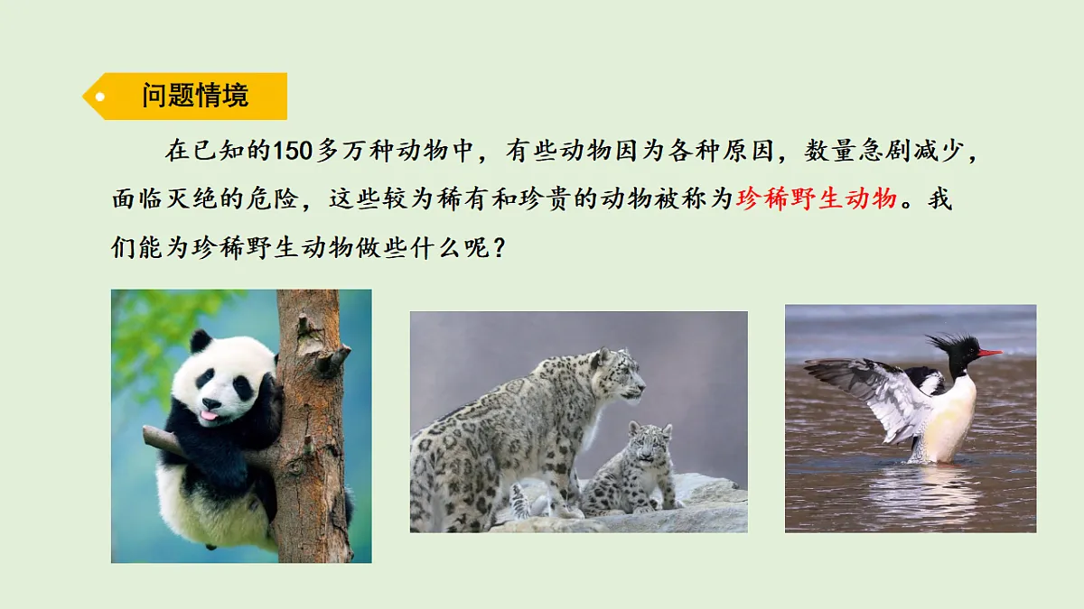 17269875第2页