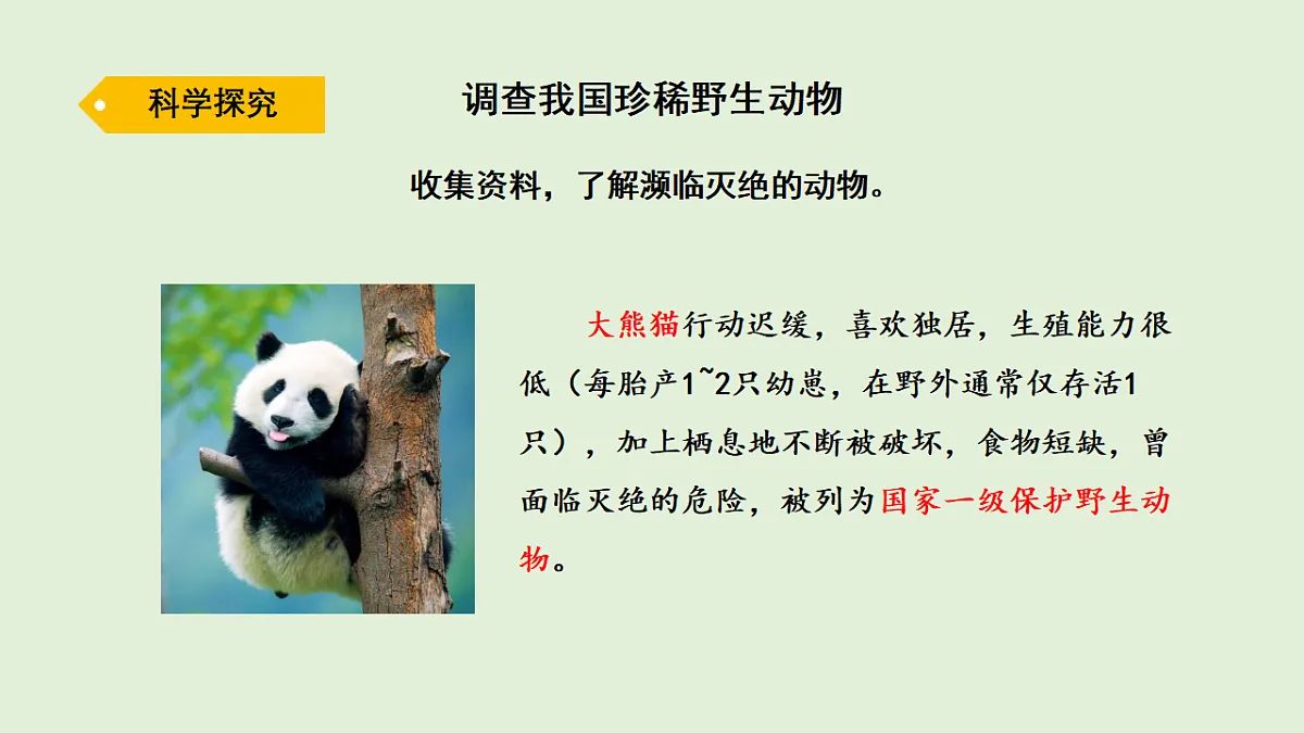 17269875第3页