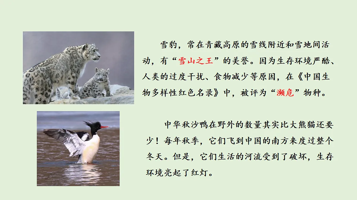 17269875第4页
