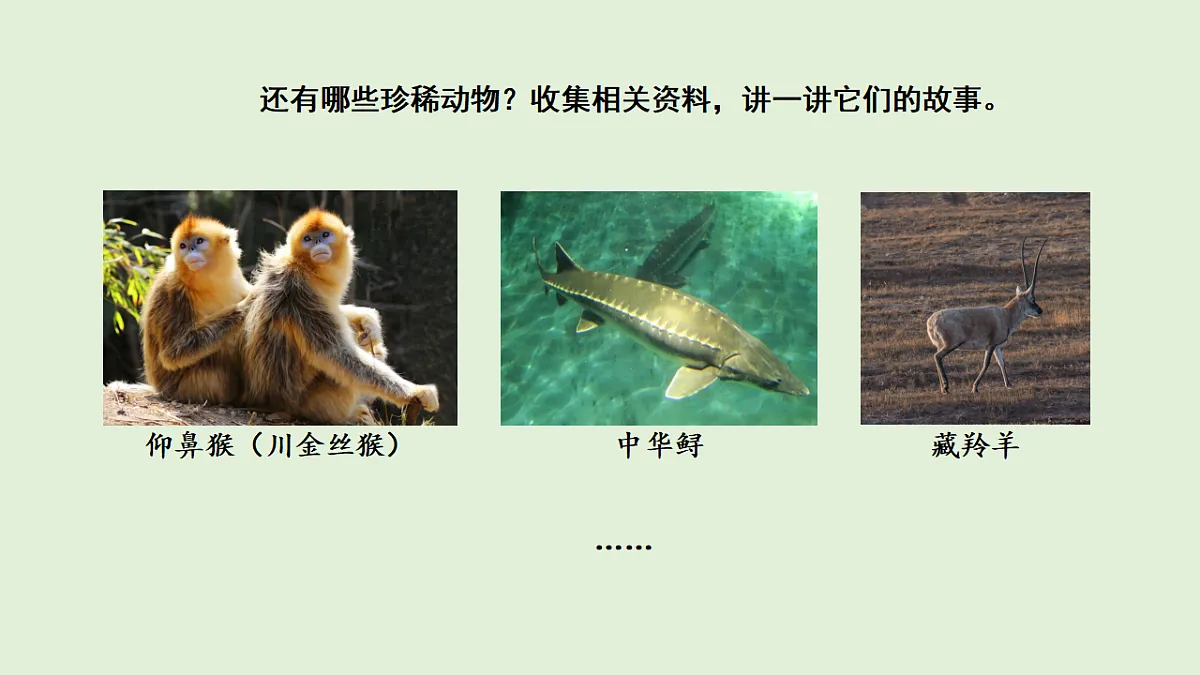 17269875第5页