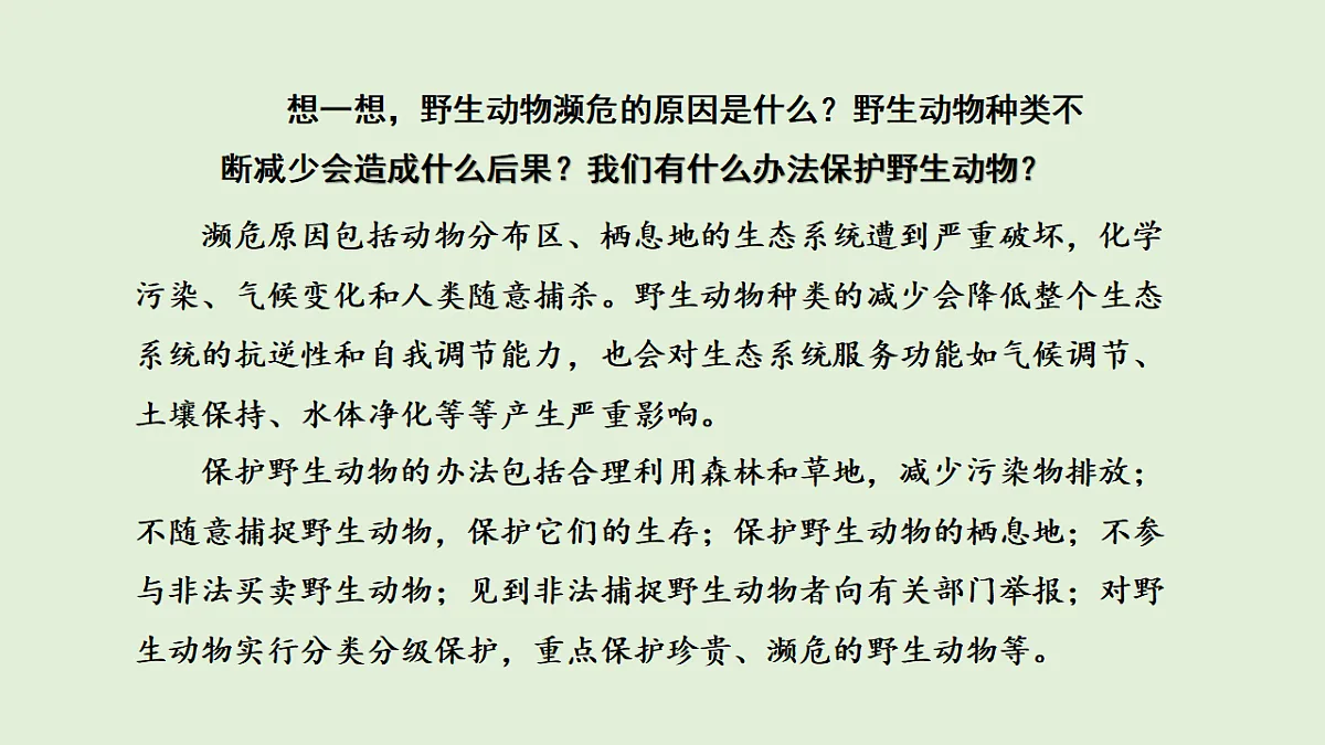 17269875第6页