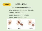 2025年秋湘科版三年级科学上册 18.土壤的种类（课件）