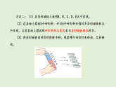 2025年秋湘科版三年级科学上册 20.磁铁的磁极（课件）