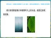 教科版（2024）科学三年级上册 2.1 水到哪里去了(课件)