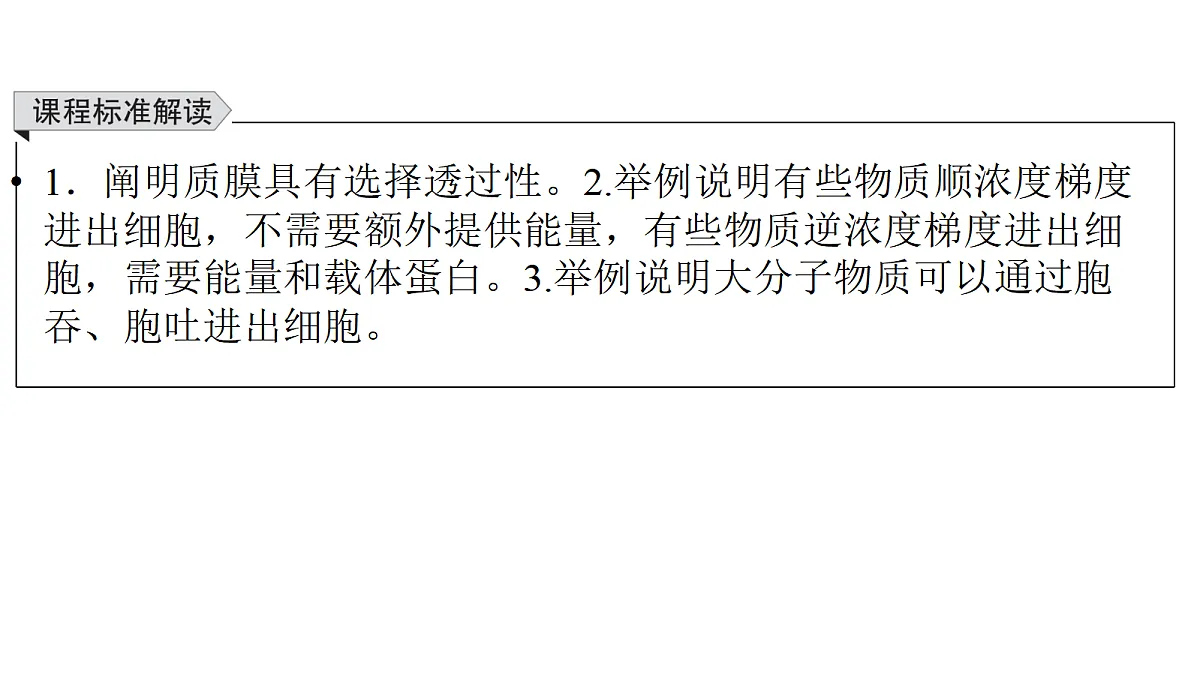 17270141第3页