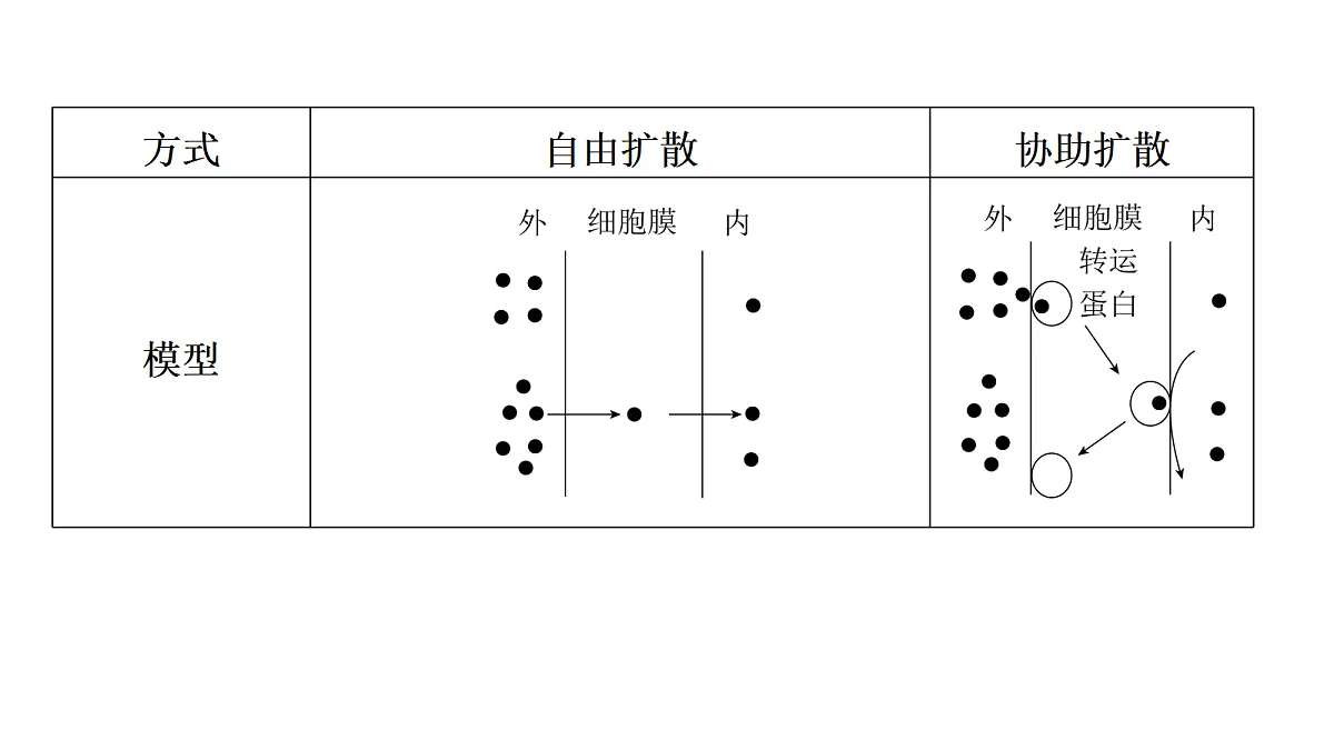 17270141第7页