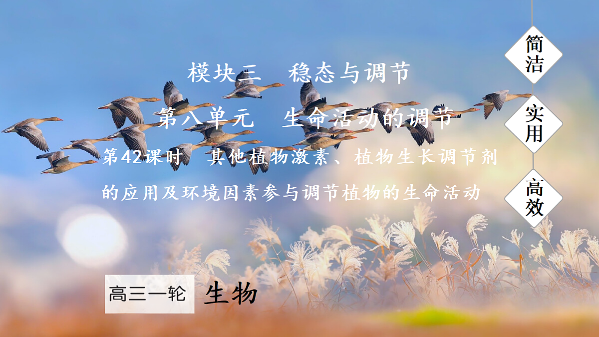 17270170第1页