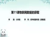 第11课 物联网数据的获取 课件 2025-2026学年七年级下册信息技术浙教版