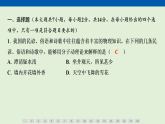 阶段性达标测试卷（二）  课件 人教版物理九年级全一册（含答案解析）