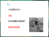 教科版（2024）科学二年级上册 1.1 动物的“家“（课件）