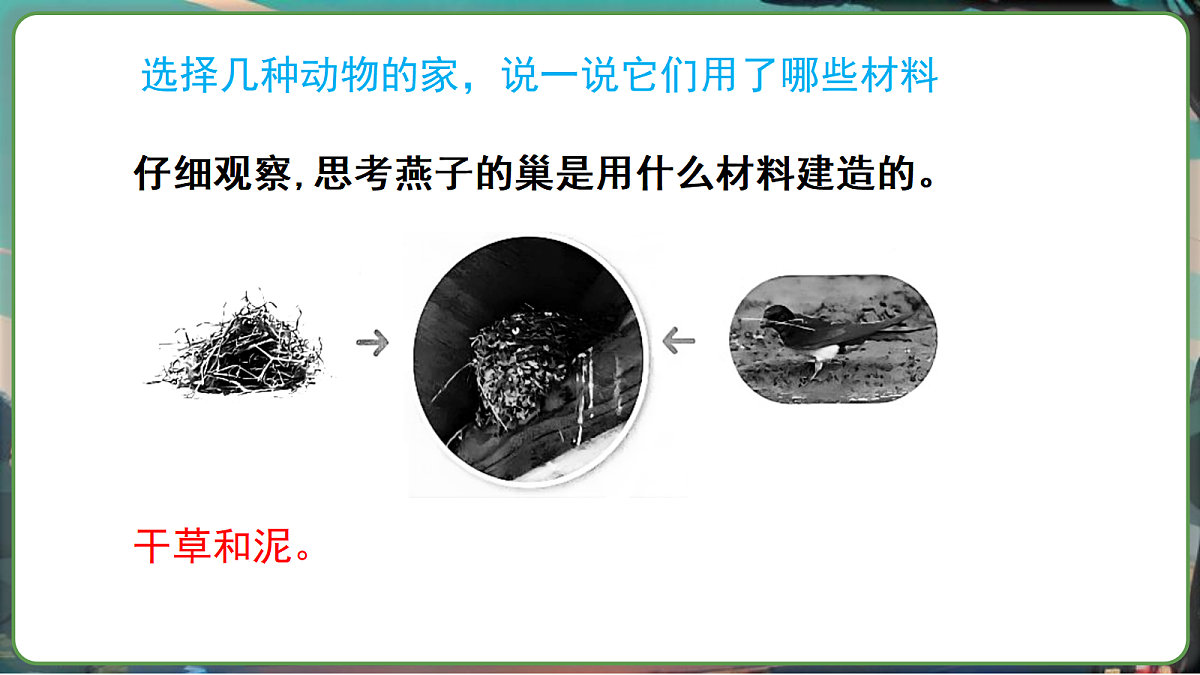 17270341第7页