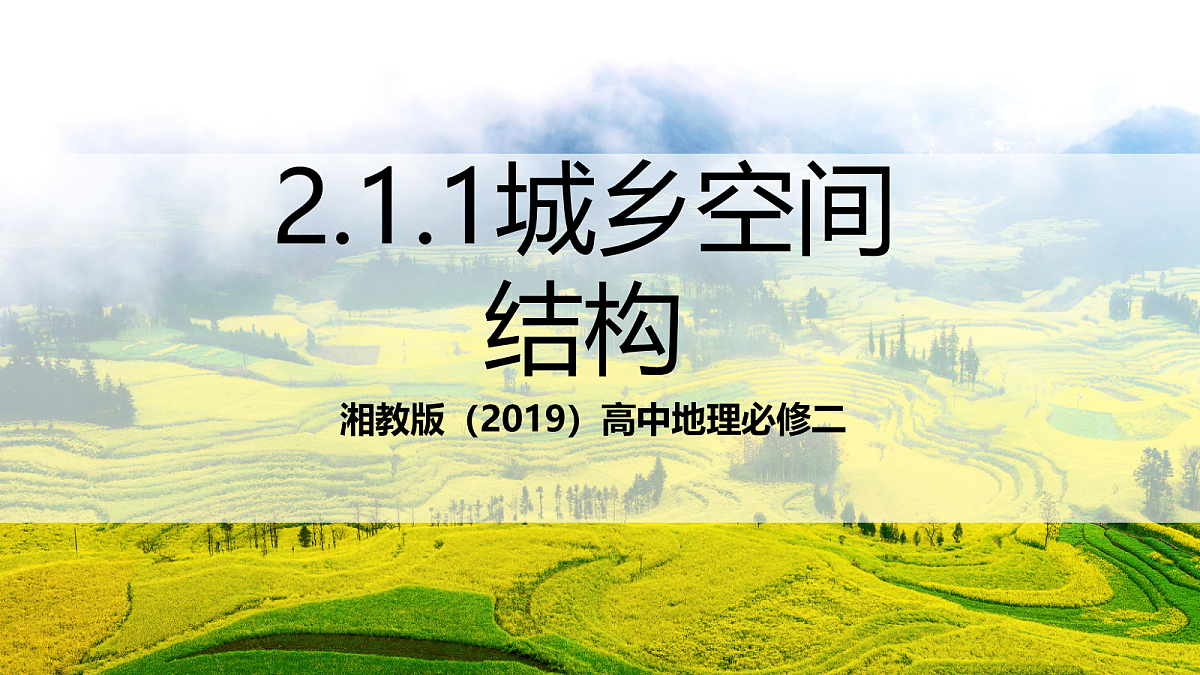 17270534第1页