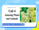 新人教版初中英语八上Unit 4 课时1 Section A（1a-1d）大单元课时课件