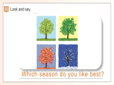 Unit7 Seasons  lead-in & cartoon time（课件）-2025-2026学年译林版（三起）（2025）英语四年级上册