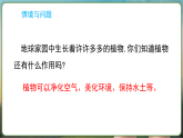 冀人版（2024）科学三年级上册 1.3 植物的“身体”（课件）