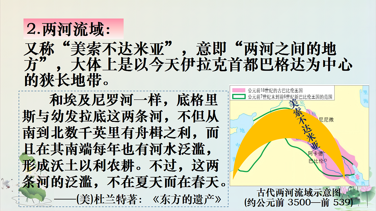 17272668第8页