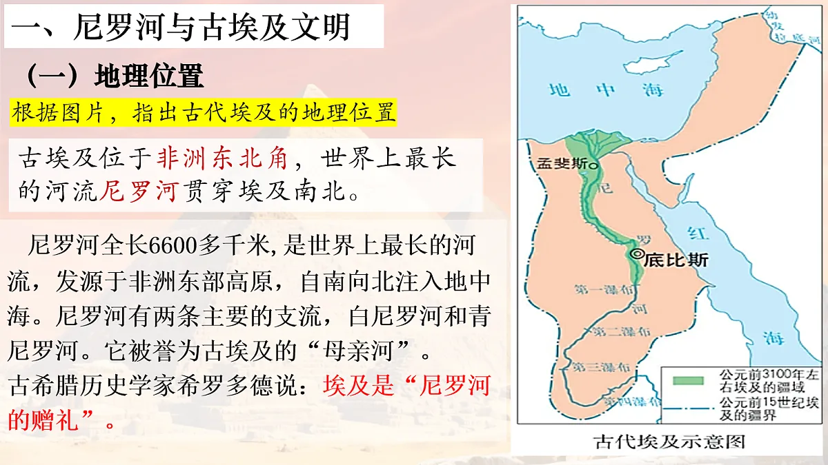17272669第3页