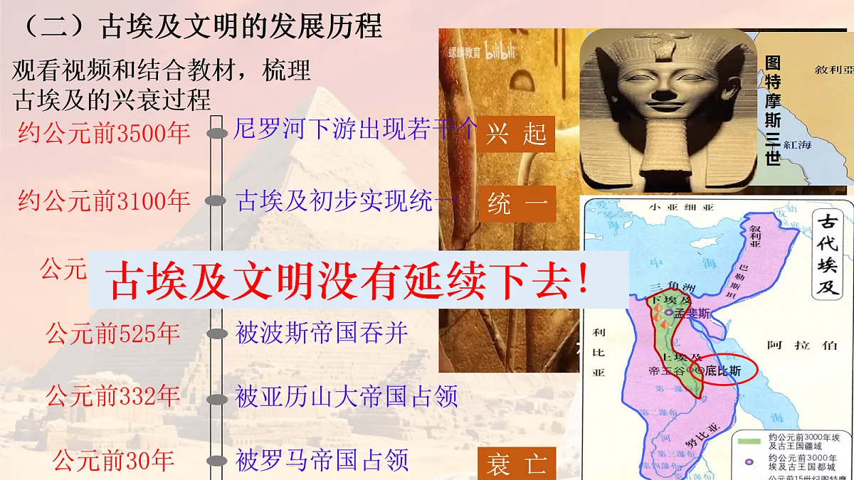 17272669第5页